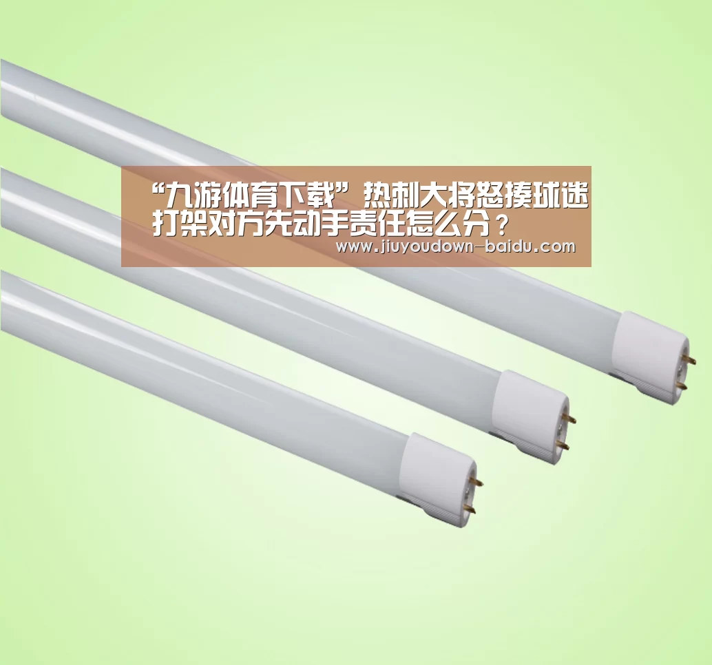 “九游体育下载”热刺大将怒揍球迷 打架对方先动手责任怎么分?(图4) 九游官网入口地址