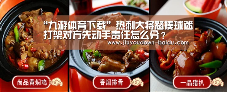 “九游体育下载”热刺大将怒揍球迷 打架对方先动手责任怎么分?(图2) 九游体育下载