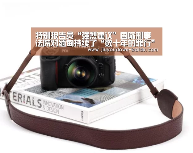 特别报告员“强烈建议”国际刑事法院对缅甸持续了“数十年的罪行”进行调查【九游平台app下载】(图2) 九游娱乐网站
