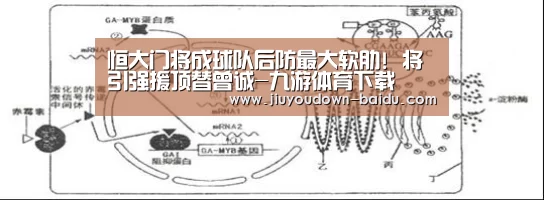 九游平台app下载